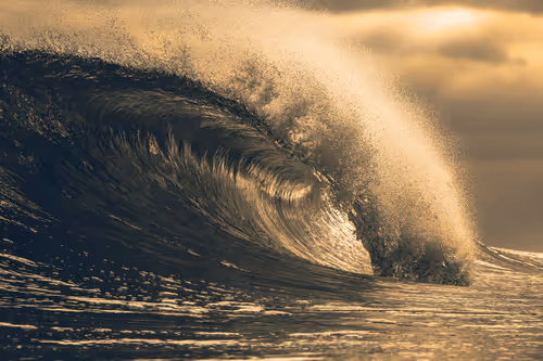 FOR THE LOVE OF THE SEA