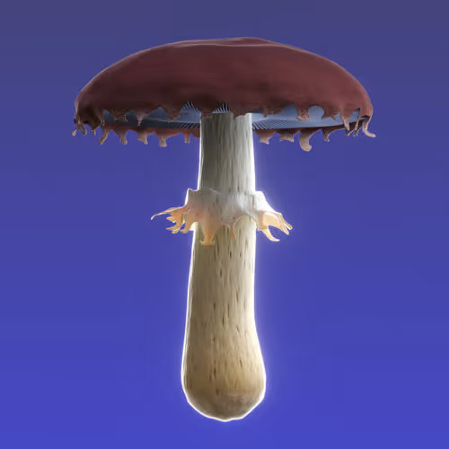 Item #95653877050150474555742155054455970472164202465768371638498214034957741850625 Media