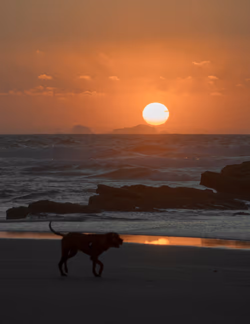 Item #70752512074221398135283330563893228865636439964240069417806288699225309970433 Media