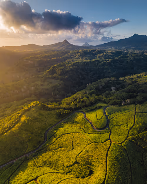 Item #64892573542216553225063327700336004171019867697641980949815581350316306595841 Media