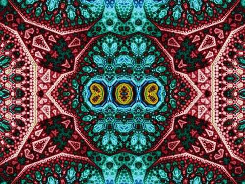 Item #41897656144008175576911762965025711901993500067716723940065295048412206465025 Media