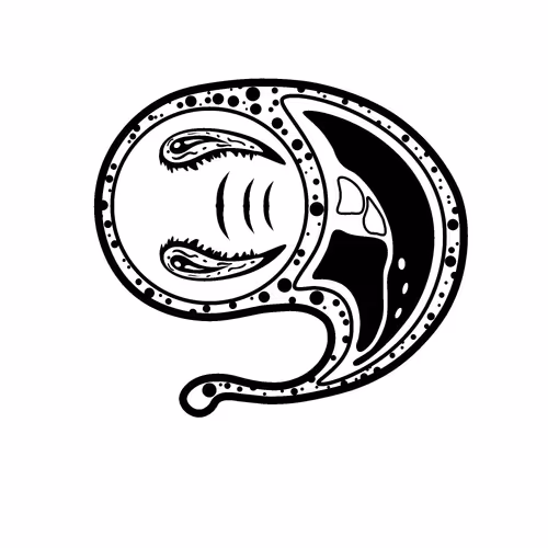 Item #8582482205082752867307053684138292604036161022199483011765831978774693937153 Media