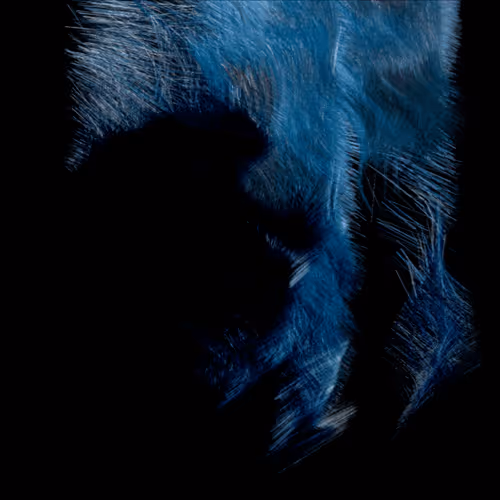 Item #68981925815088345218279679333044734296787607330307738297545738716819274858497 Media