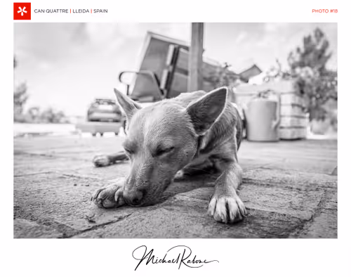 Item #29314157866463614573355053931398882925484977285626546525081320728549147017217 Media