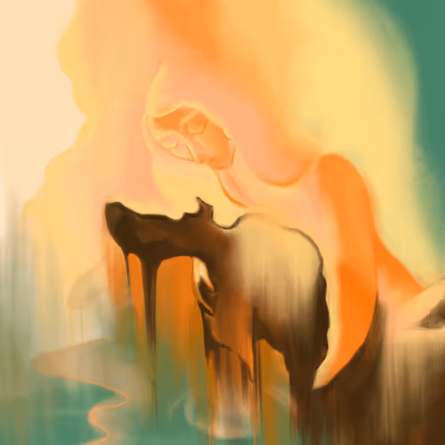 Meendartproject Collection