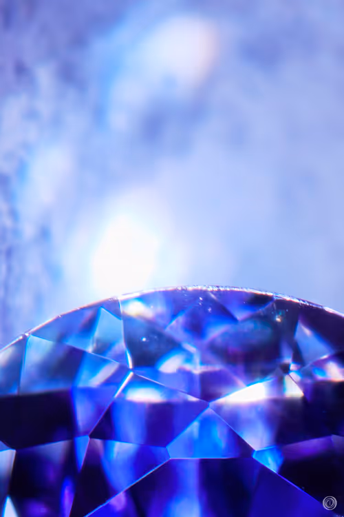 Item #106080962431400929248160011526145726141352128158429969924725129466861590675457 Media