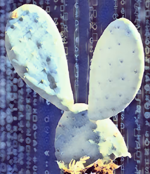 Item #20933843784667846060559808382979673840912927325870873080278389910062982234122 Media