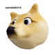 DogeMaxi Collection