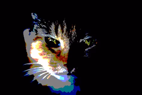 23538819986925566434507765811444276093104658907602947149672917436166416891905