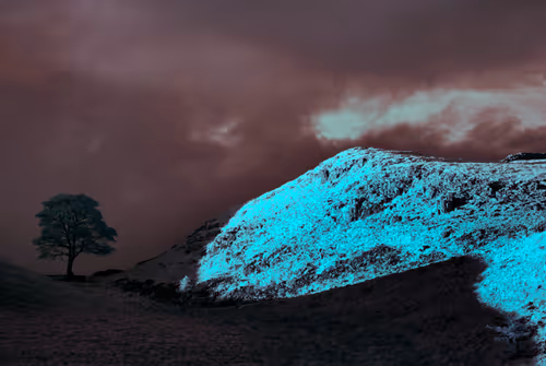 Item #105424874580272350249353180101820695324338341917620358577696675011336098283521 Media