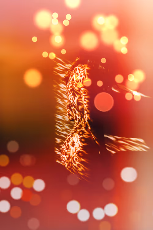 Item #40498021365110625873163859620955492987361950717153146364459205435349281013761 Media