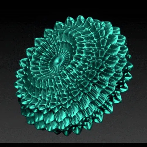 Item #97919126274126302224951180839576190112149877101595383406669397422481422155777 Media