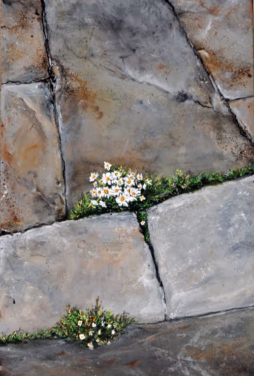 Item #61975222219852464906918210230282349892775022860462502595941043120225600405505 Media