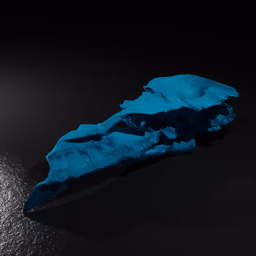 Item #20250001323464517401306315509532802406644919304029953922967480000503917576193 Media