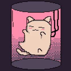 suscats #88