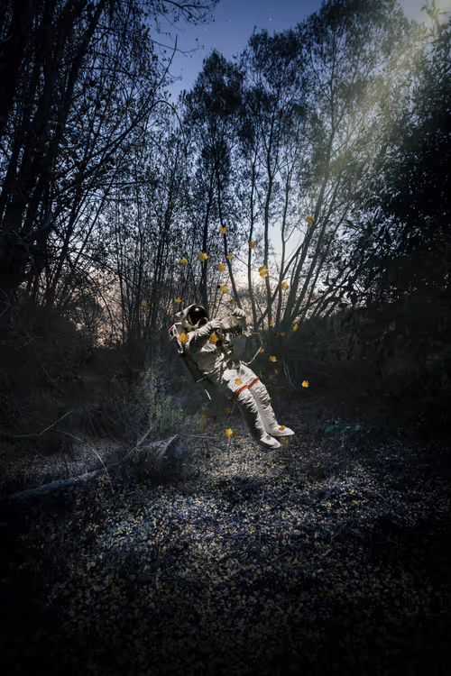 Item #29511697845116579399925011661064445951476116683601584807484795277593804800001 Media