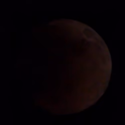 Super Flower Blood Moon #41