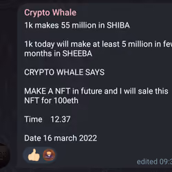 Crypto Whale Preaching 
