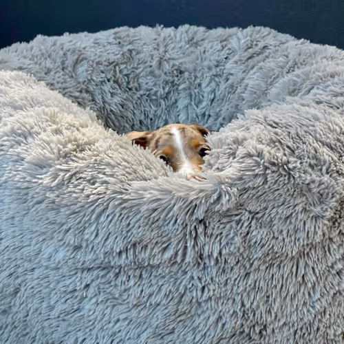 Item #3898553481777928447875654508319745577702835649877580186705307903501656915973 Media