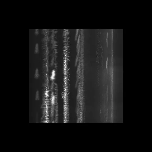 Item #43939955971694368961434358164711021081057237677410347264159755683258219626497 Media