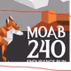 Untitled Collection #1033966415