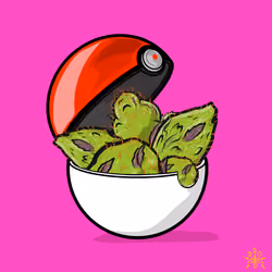 TOKEMON BALL 