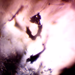 71646257518770613568983710813551014237803002136866425209291834745374680023041