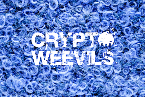 Item #29314157866463614573355053931398882925484977285626546525081320731847681900644 Media