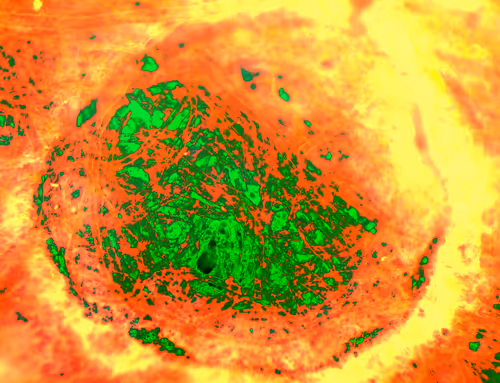 Item #71646257518770613568983710813551014237803002136866425209291834355048052162561 Media