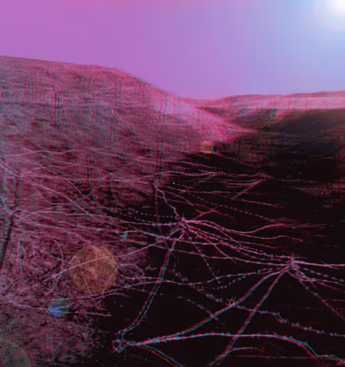 Item #112976571757822569538194461650133321399486138832093946782655487688483169894401 Media