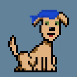 PunkDog #353