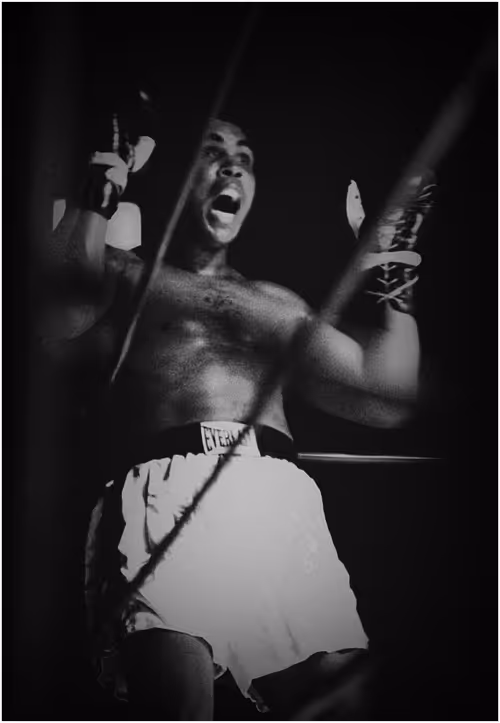 Item #57132418954837918886711585800954240595703597984635010570377711657084499525633 Media