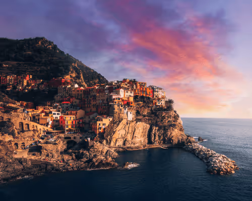 Editions by Nicole Zelkowitz