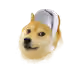 31945005039930354453957002453200046210102094727809144334428674117245719281665