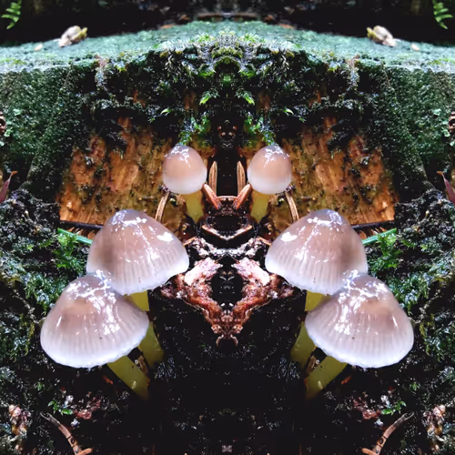 SOMEWHERE IN SPACETIME  #05/33