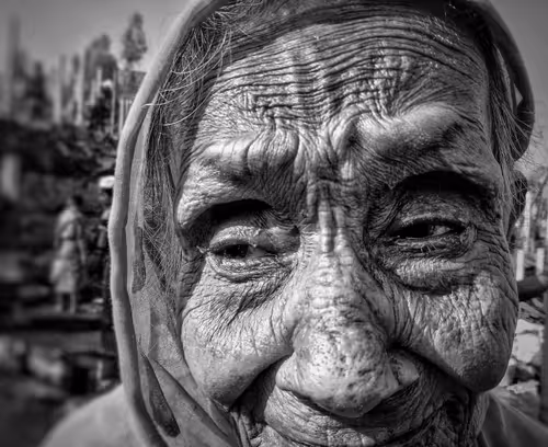 Item #28483083615204022371300351477704581571274768988091129970329682093362999459841 Media