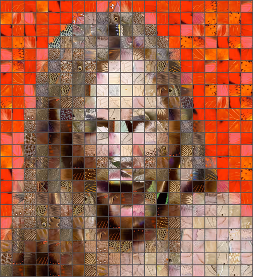 Item #100782382994010076709340746135078046665571561867051036640486281003587073998849 Media