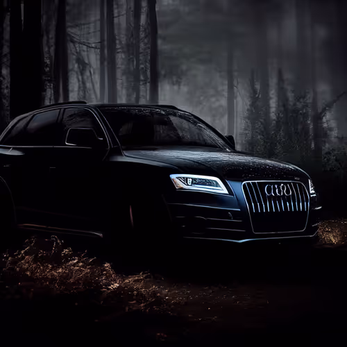 Item #70521649905956157388136430083231719829568585469534106814103920970850558279681 Media