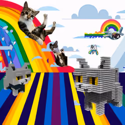 Paşa in Cat Heaven