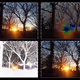Peeking Sun - Eisenhower Park 2017 - Photo Collage