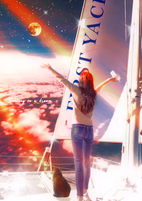 Item #33666551535504522030171567501508096477250478042702370837447251547010904358913 Media