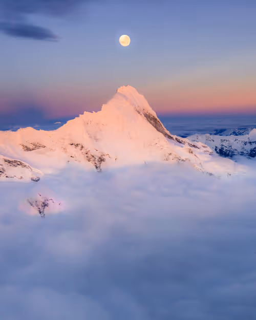 Item #98745491564379547554924435713421898077677728399868739538264606802949835849729 Media