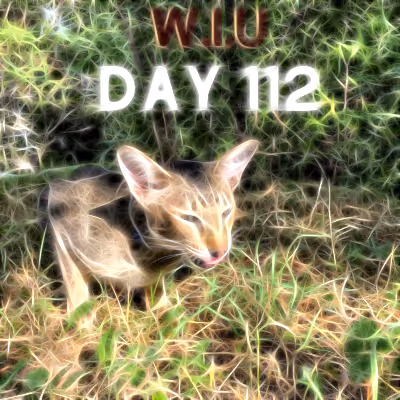 Item #39423832963151627607691891064013214374554670685362285359898062829453408468993 Media