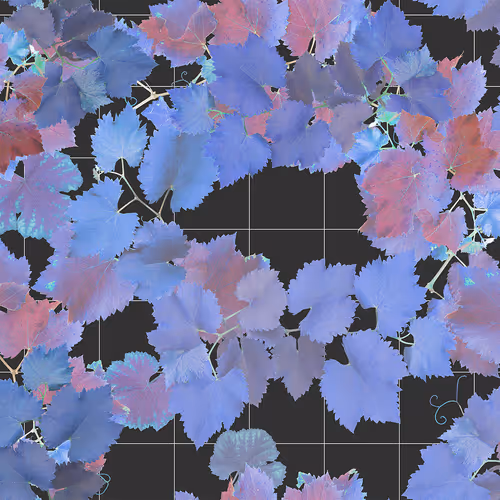 Item #86557912818240778060873576811473498554529608658908516989609402623883044978689 Media