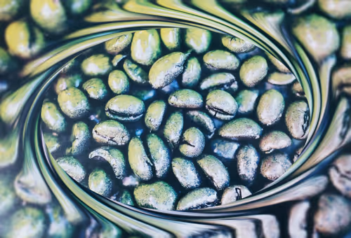 Item #39425846421802280996231740338929997167545085552399292352466571980182088843265 Media