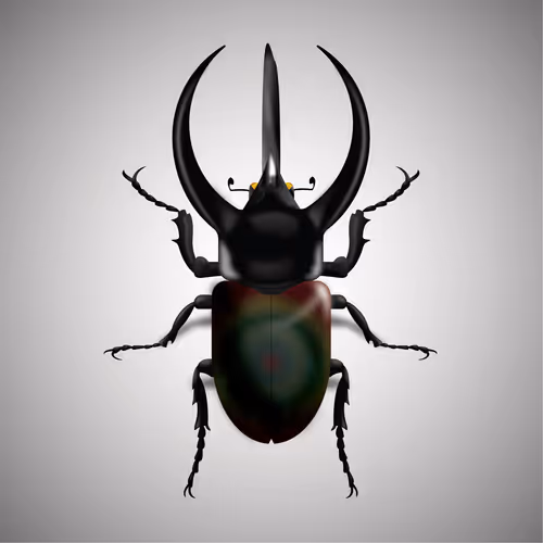 Item #15006194083360452165747859706250248338064014496976576965207408254803643465729 Media