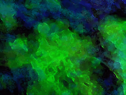 Item #15788716269792817091517444034975324371579435356184901086933549813232262184961 Media