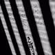 16727940686783797344175570121912403801035808003795446497527909982088995012609