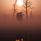 84715277362649940475076491178655237393055377848083908861074957027426032418817