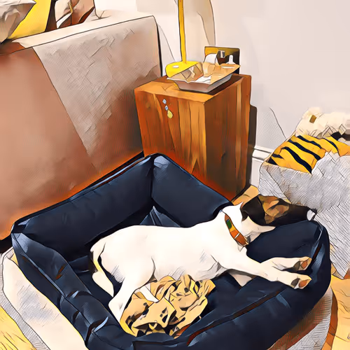 Item #108767824984107427306239065059911638745749785478323690674921709025590023028737 Media